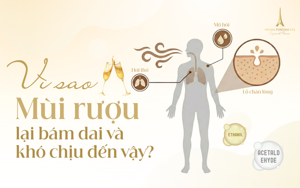 Vì sao mùi rượu lại bám dai và khó chịu đến vậy?