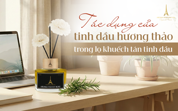Tác dụng của tinh dầu hương thảo trong lọ khuếch tán tinh dầu