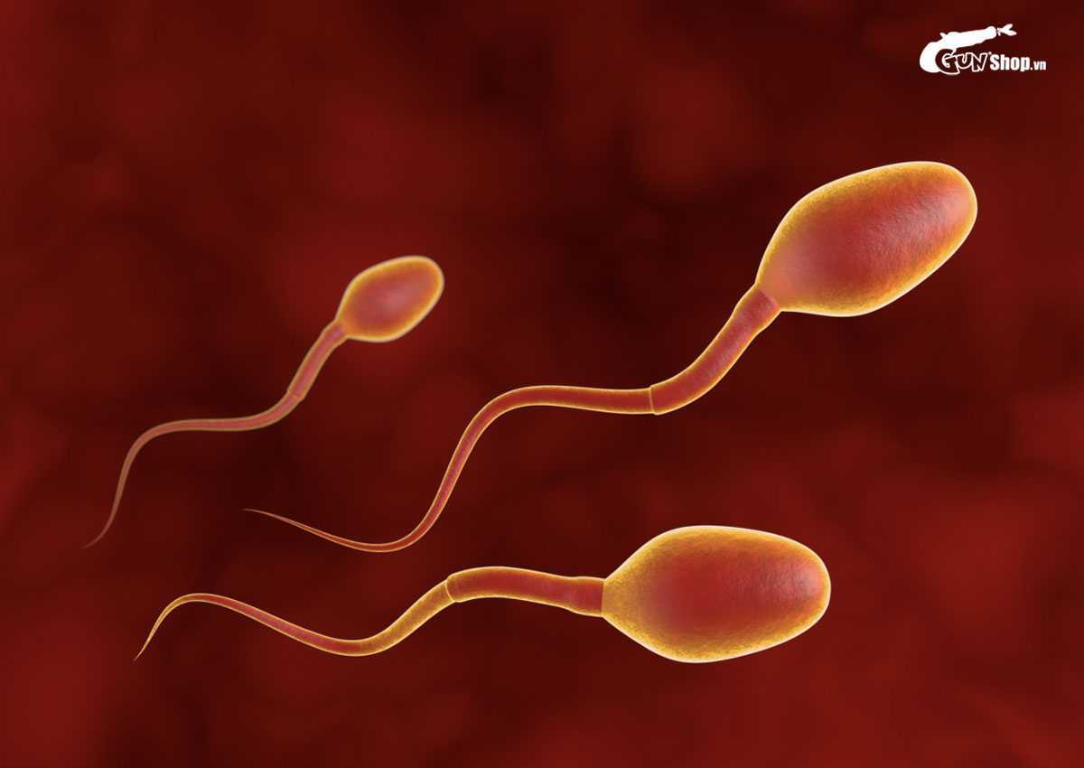 Lợi ích từ quan hệ tình dục đều đặn