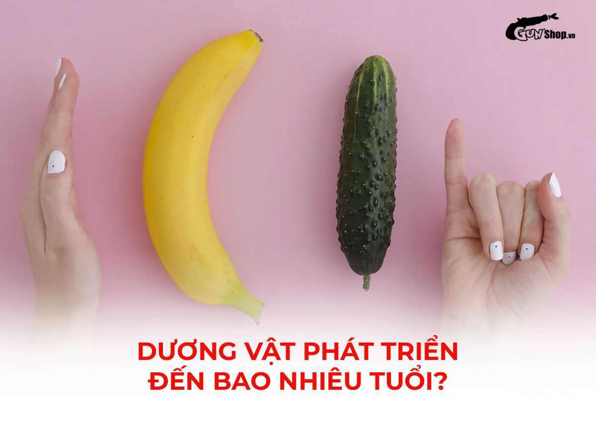 Dương vật phát triển đến bao nhiêu tuổi?