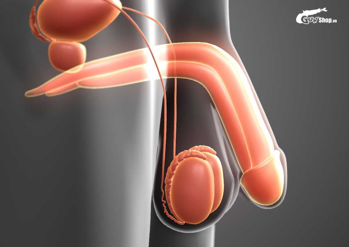 Uống thuốc tăng cường sinh lý nam có sao không?