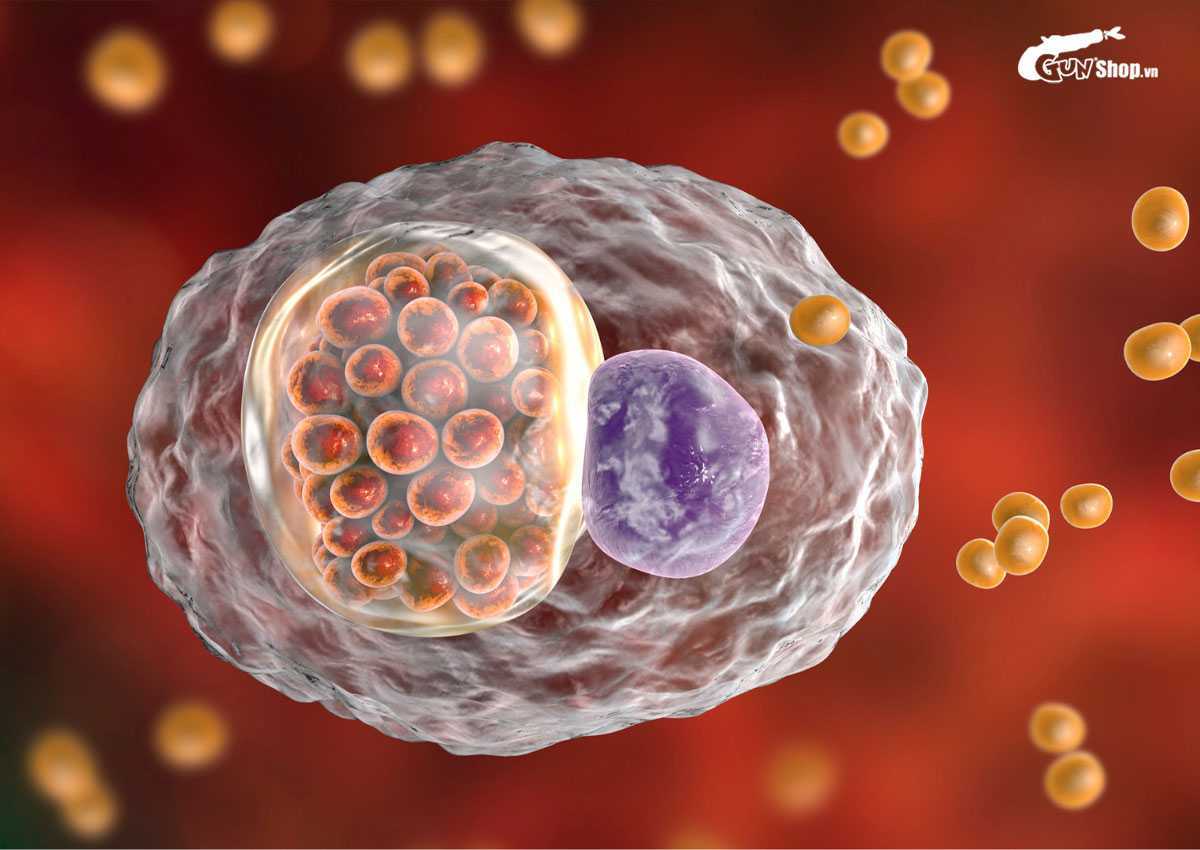 Bệnh chlamydia có chữa khỏi được không?