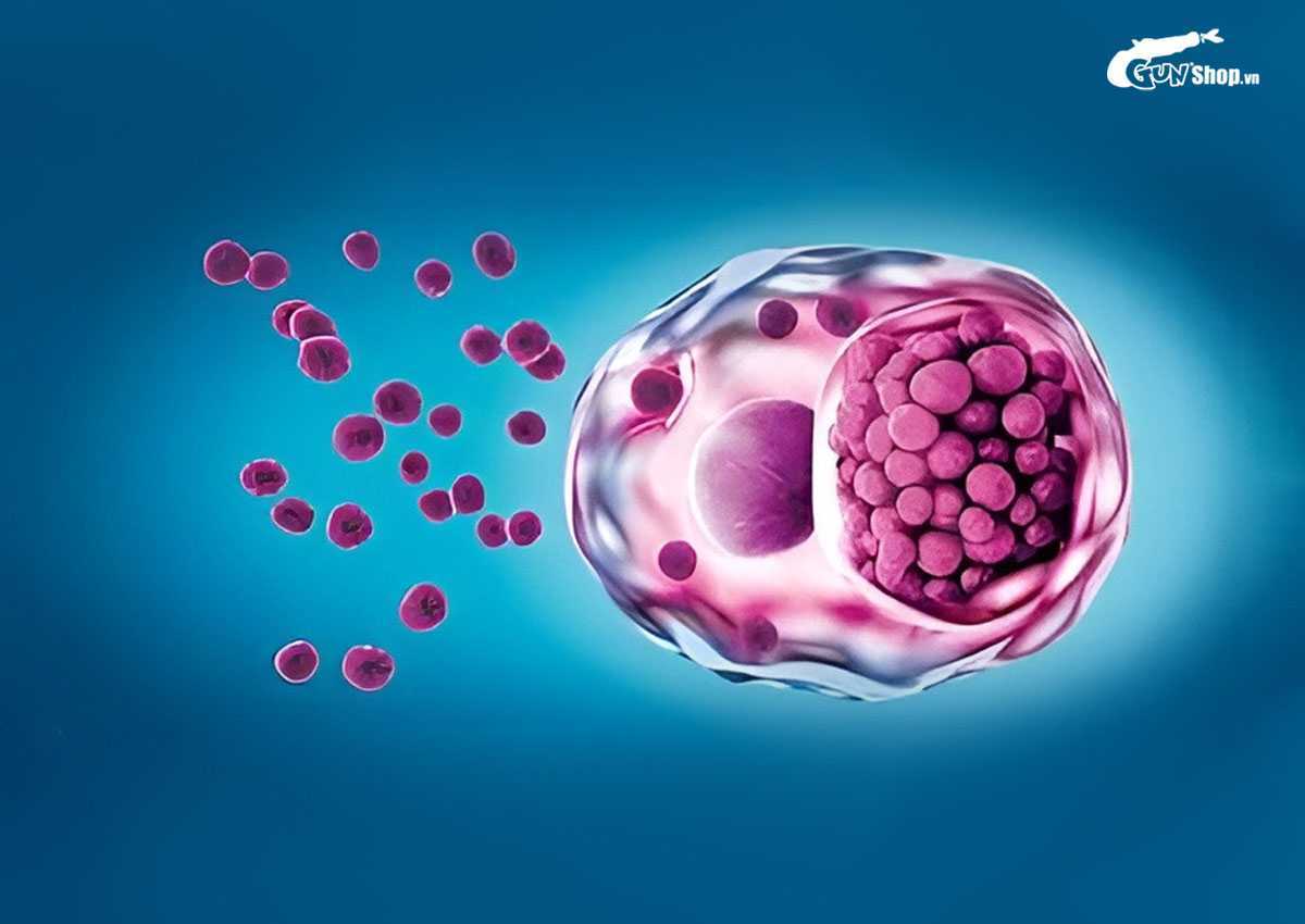 Bệnh xã hội là gì?