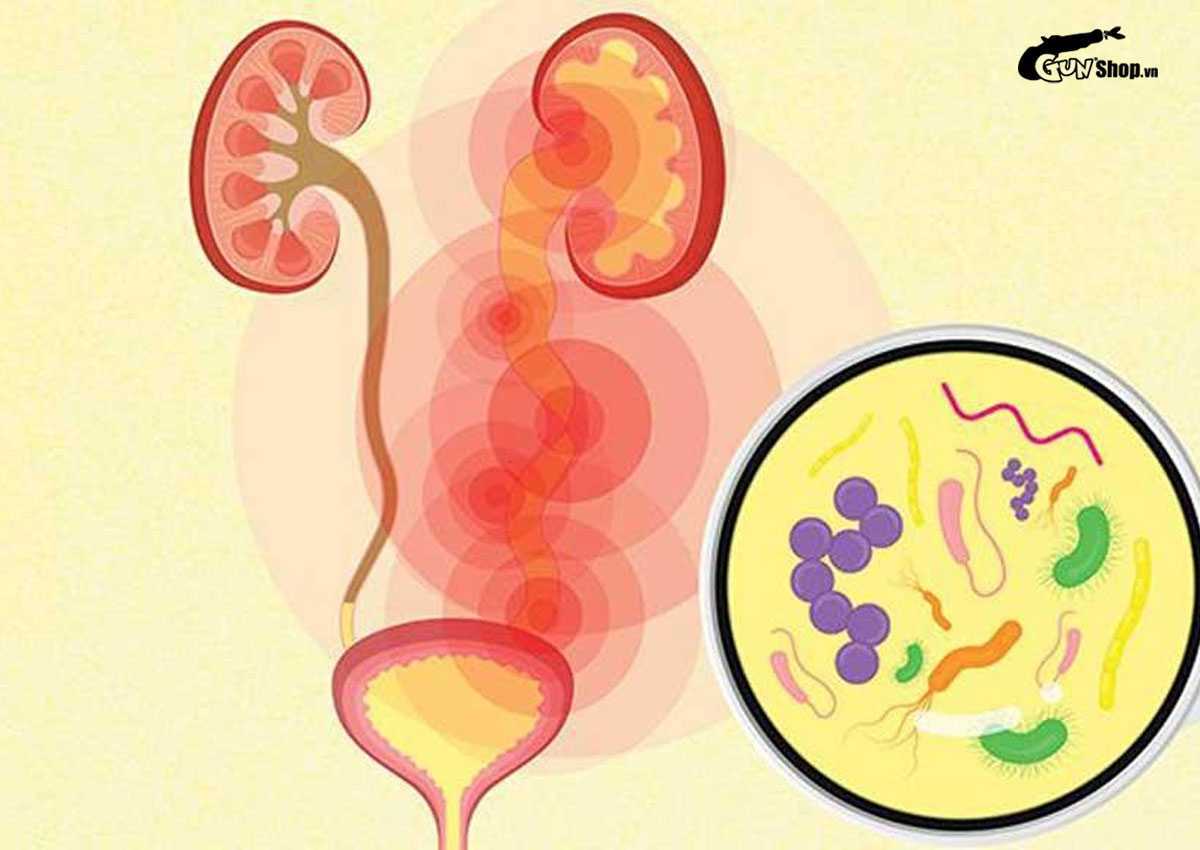 Cắt bao quy đầu có đau không?