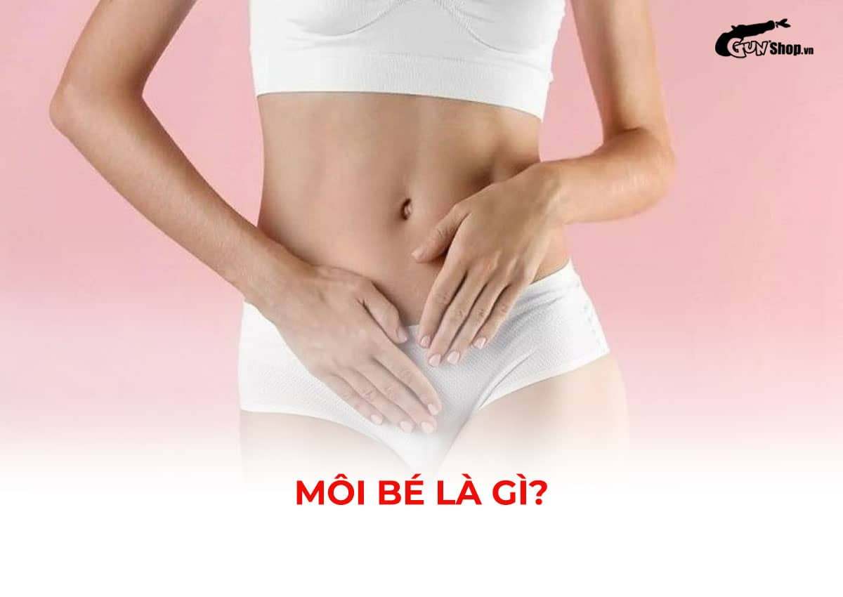 Cấu tạo và chức năng của môi bé là gì? Vị trí nằm ở đâu?