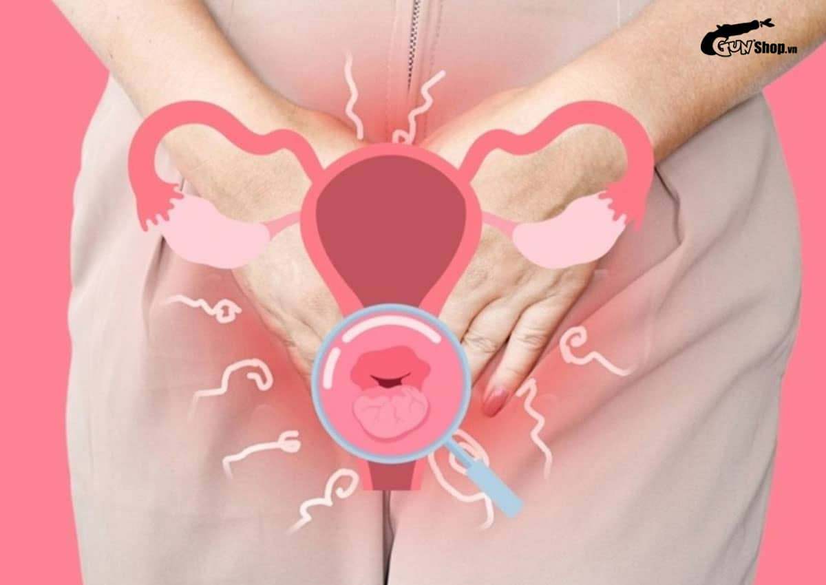 Cấu tạo và chức năng của môi bé là gì? Vị trí nằm ở đâu?