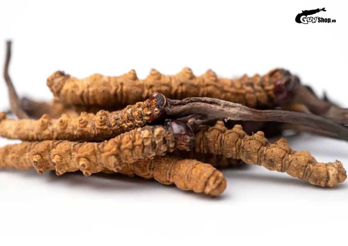 Bài thuốc Đông y tăng cường sinh lý nam chữa yếu sinh lý hiệu quả