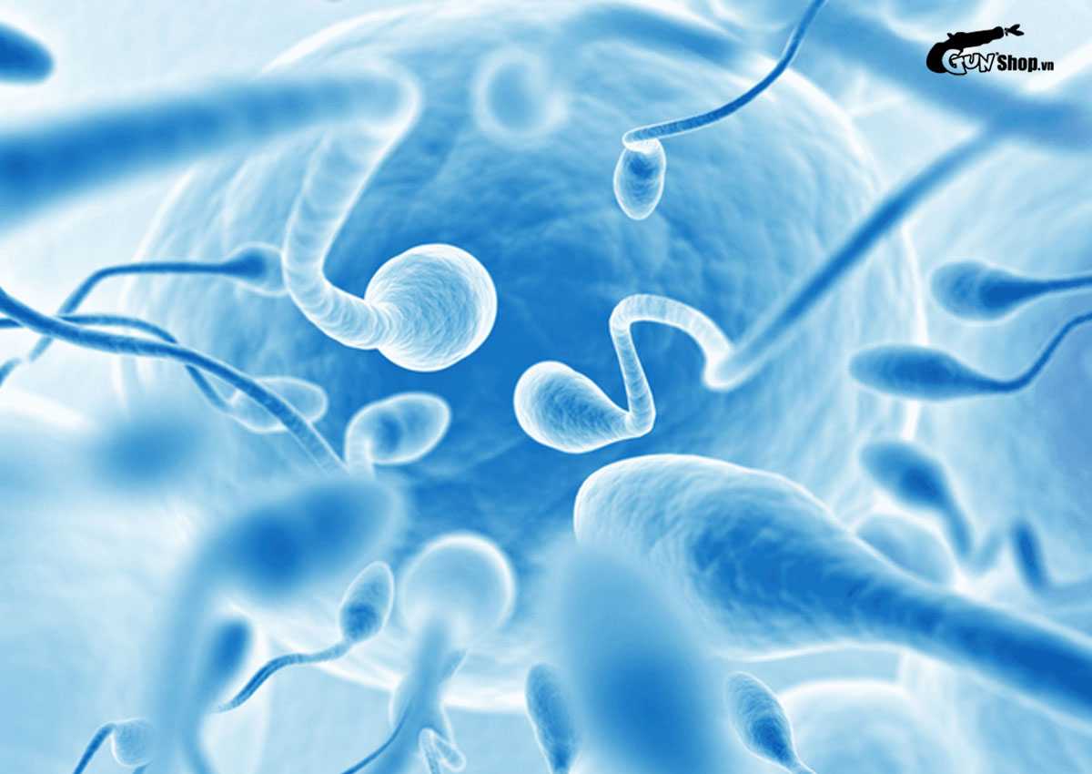 Tinh trùng sống được bao lâu trong tử cung?
