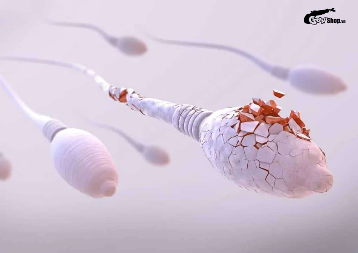 Rượu bia và quan hệ có mối liên hệ gì?