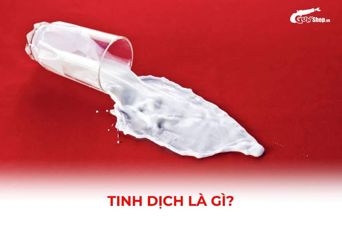 Tinh dịch là gì?