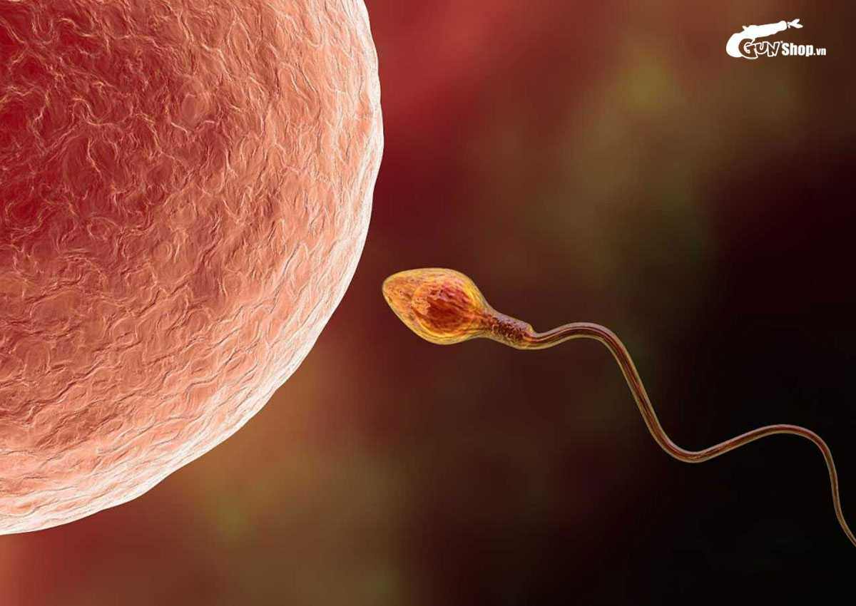 Cách rửa sạch tinh trùng sau khi quan hệ