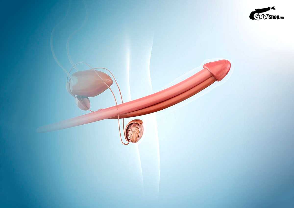 Uống cà phê trước khi quan hệ có tác dụng gì?