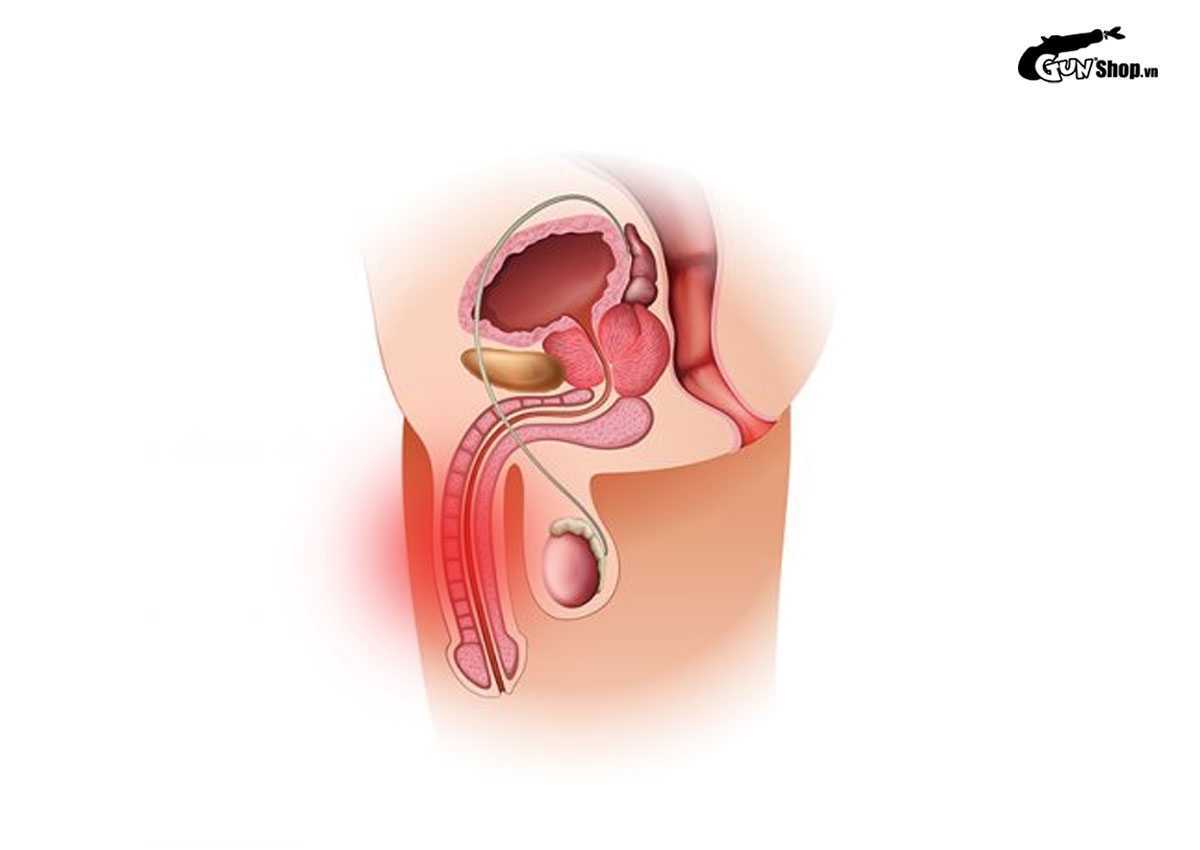 Yếu sinh lý là gì ?