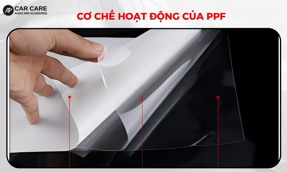Cơ chế hoạt động của PPF