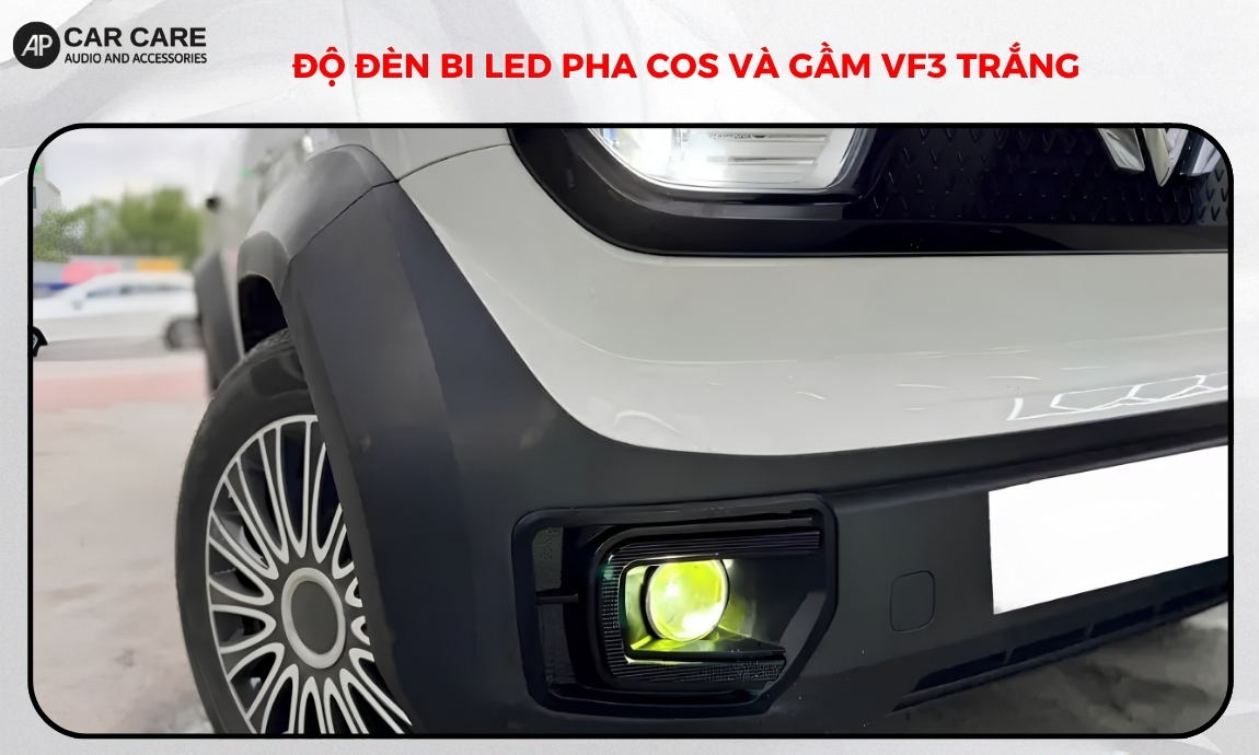 Độ đèn Bi LED pha cos và gầm VF3 trắng