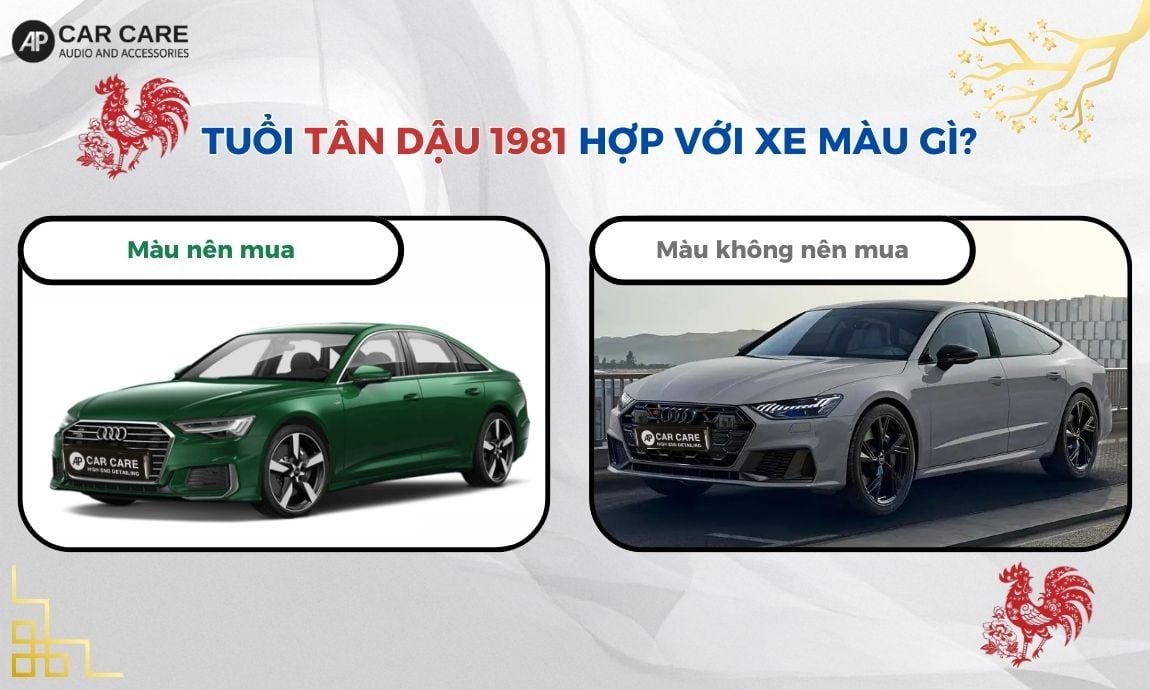 Tuổi Tân Dậu 1981 hợp với xe màu gì?