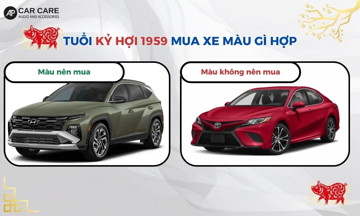 Tuổi Kỷ Hợi 1959 mua xe màu gì hợp