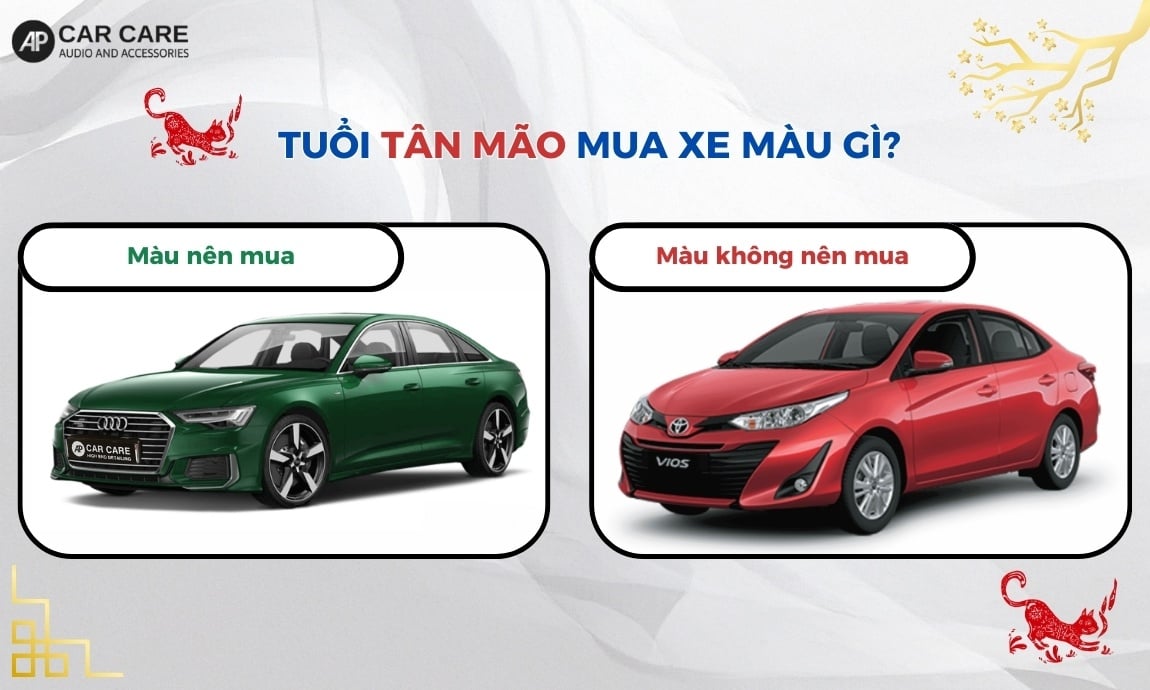 Tuổi Tân Mão mua xe màu gì?