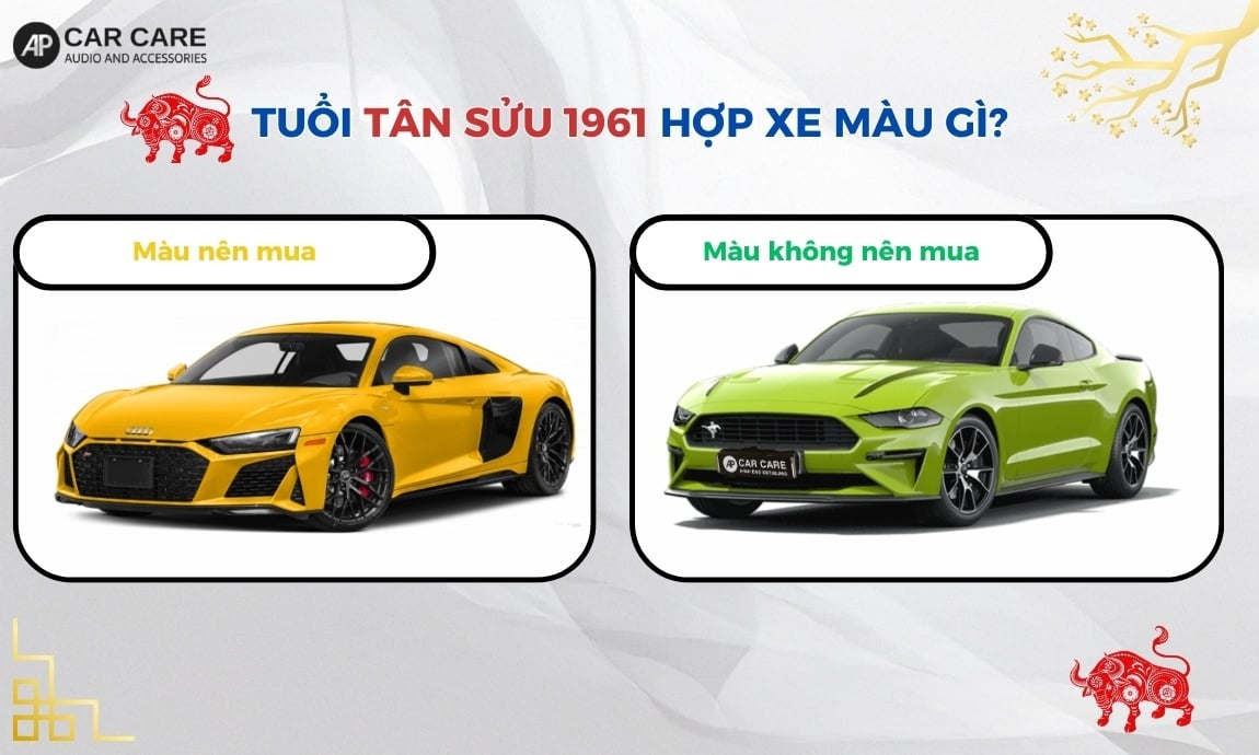 Tuổi Tân Sửu 1961 hợp xe màu gì?