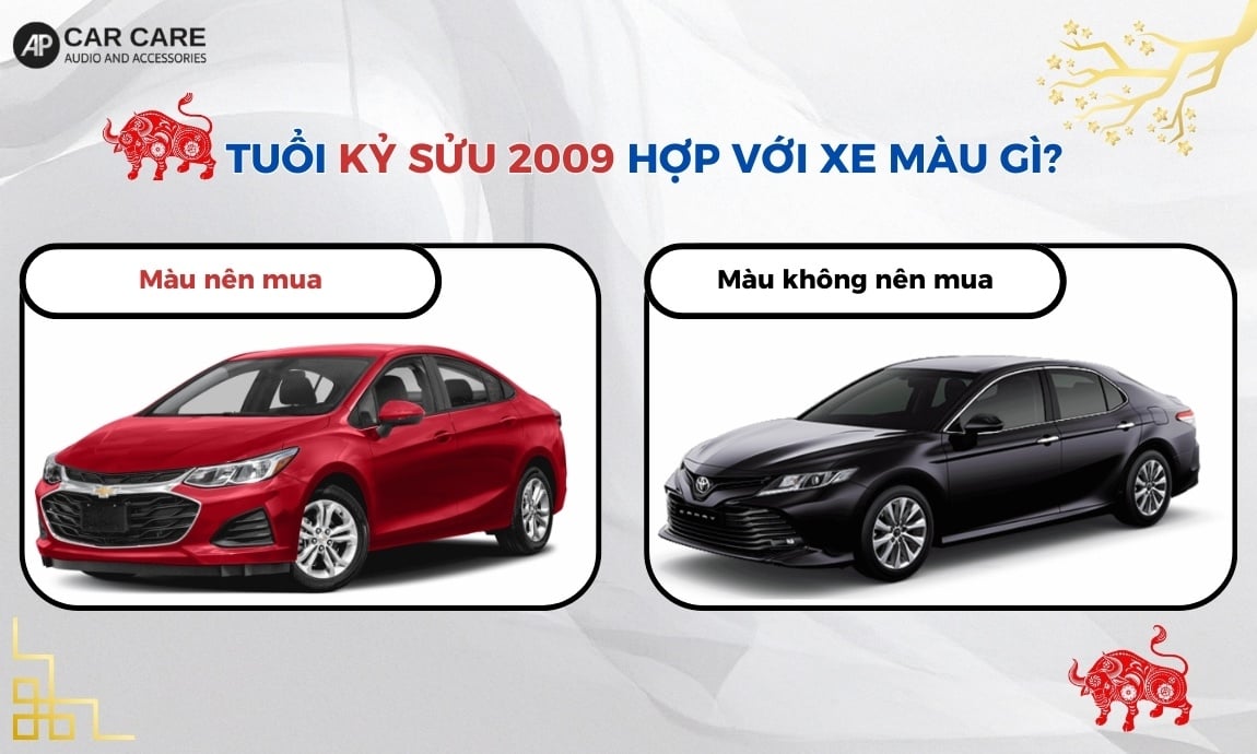 Tuổi Kỷ Sửu 2009 hợp với xe màu gì?