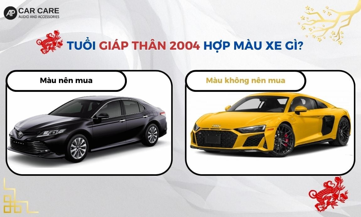 Tuổi Giáp Thân 2004 hợp màu xe gì?