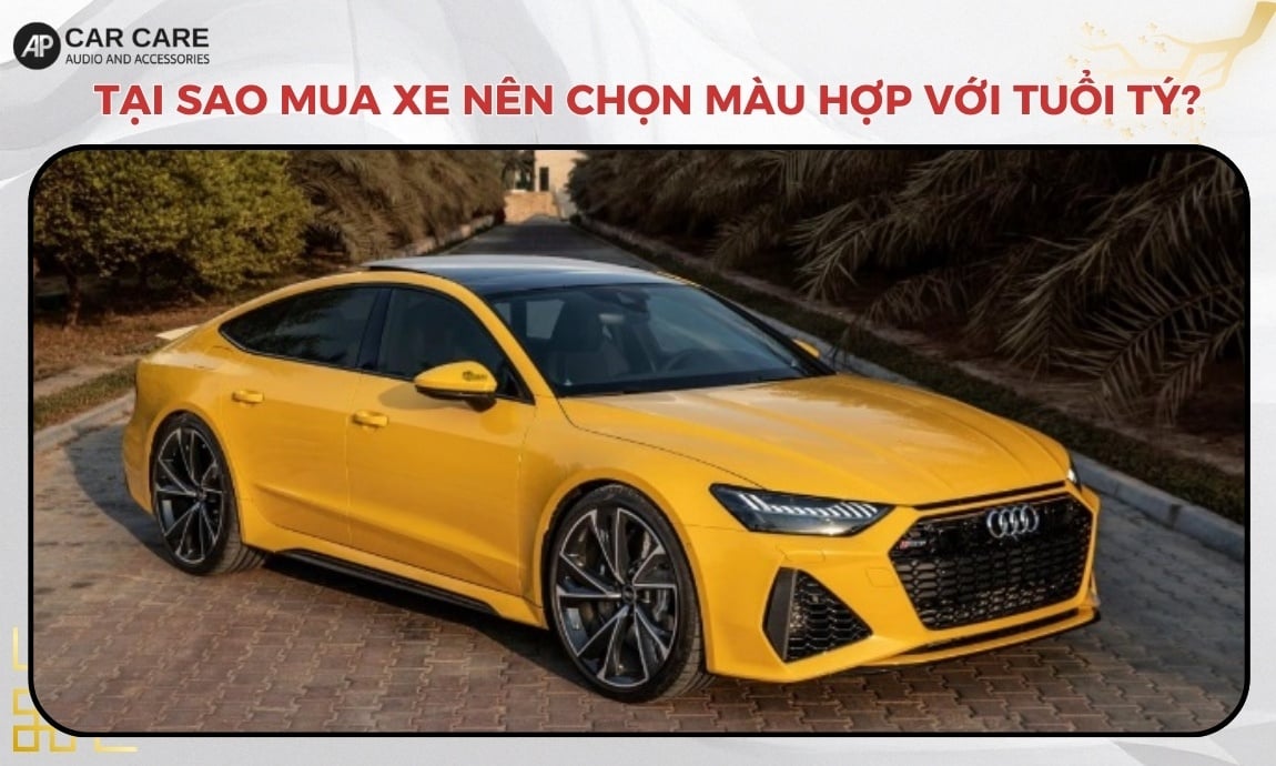 Tuổi Tý hợp xe màu gì sẽ phụ thuộc hoàn toàn vào năm sinh và mệnh