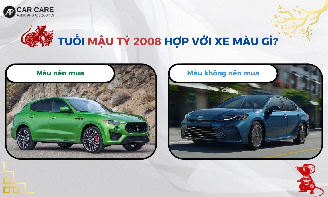 Tuổi Mậu Tý 2008 hợp với xe màu gì?