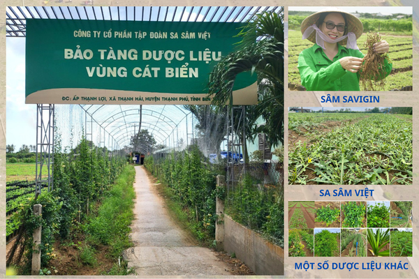 bao-tang-duoc-lieu-vung-cat-bien