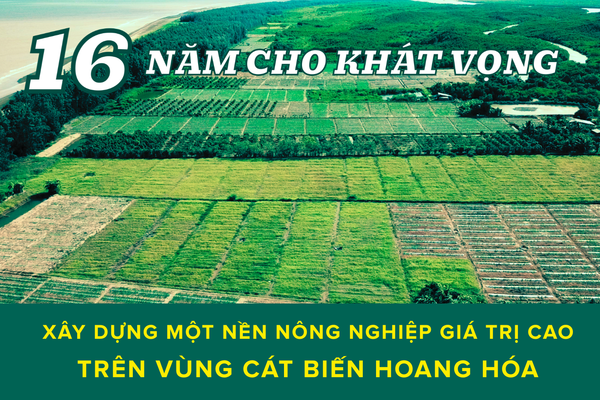 dược-liệu-vùng-cát-biển