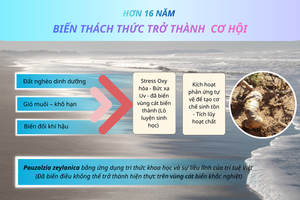 hành-trình-16-năm-SAVGIN