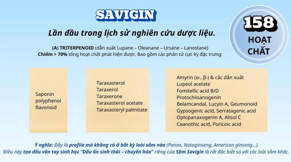hoạt-chất-trong-sâm-savigin