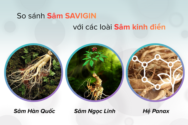 Taraxerone-co-trong-cac-loai-sam