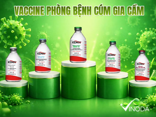 Một số loại vaccine phòng bệnh cúm gia cầm tại VINODA