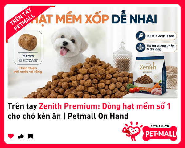 Trên tay Zenith Premium: Dòng hạt mềm số 1 cho chó kén ăn | Petmall On Hand 2