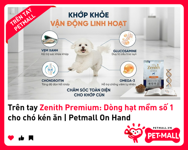 Trên tay Zenith Premium: Dòng hạt mềm số 1 cho chó kén ăn | Petmall On Hand 3
