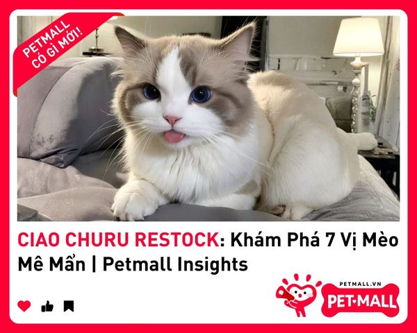 CIAO CHURU RESTOCK: Khám Phá 7 Vị Mèo Mê Mẩn | Petmall Insights 1