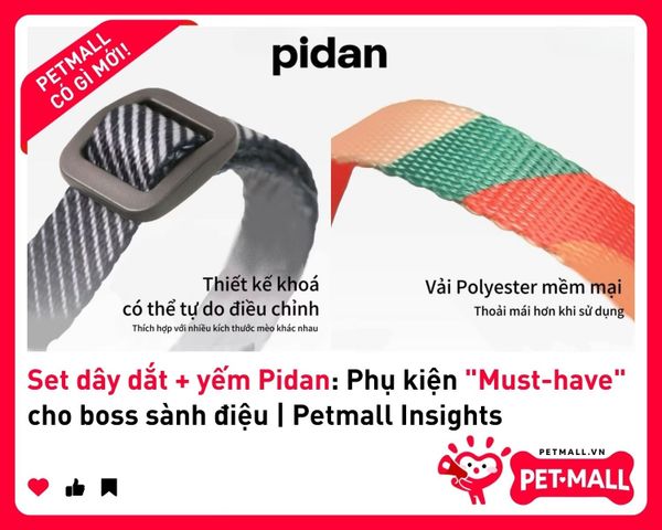 Set dây dắt + yếm Pidan: Phụ kiện 