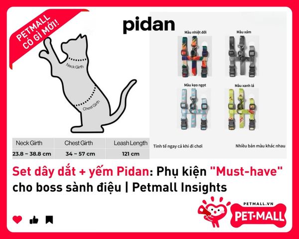 Set dây dắt + yếm Pidan: Phụ kiện 