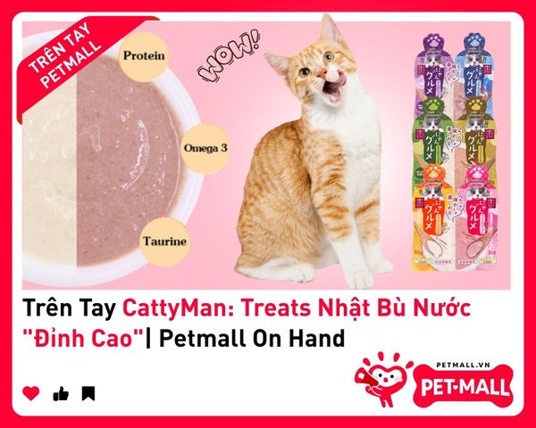 Trên Tay CattyMan: Treats Nhật Bù Nước 
