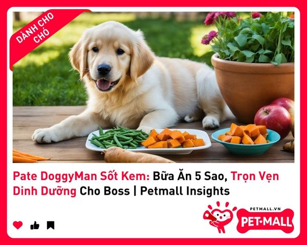 Pate DoggyMan Sốt Kem: Bữa Ăn 5 Sao, Trọn Vẹn Dinh Dưỡng Cho Boss | Petmall Insights 1