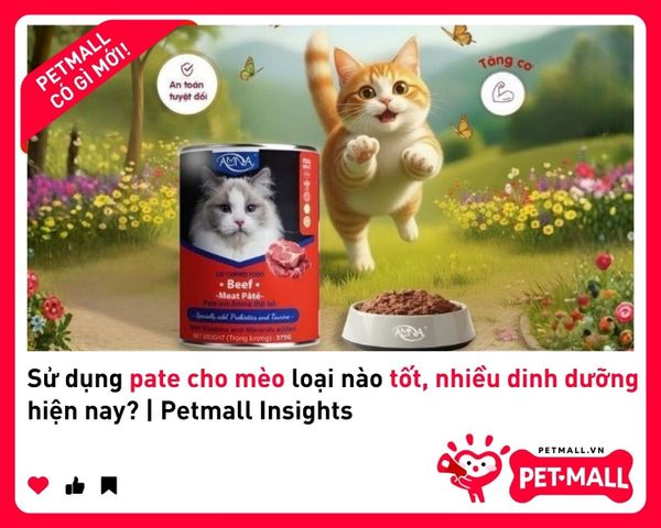 Sử dụng pate cho mèo loại nào tốt, nhiều dinh dưỡng hiện nay? | Petmall Insights 1