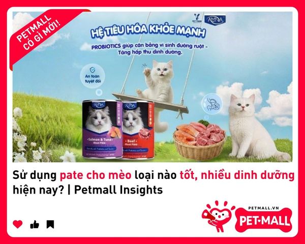 Sử dụng pate cho mèo loại nào tốt, nhiều dinh dưỡng hiện nay? | Petmall Insights 2