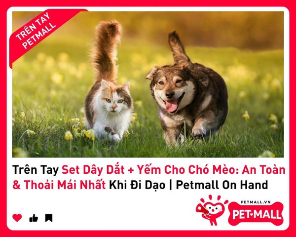 Trên Tay Set Dây Dắt + Yếm Cho Chó Mèo: An Toàn & Thoải Mái Nhất Khi Đi Dạo | Petmall On Hand 1