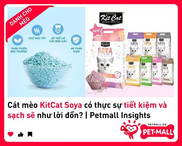 Cát mèo KitCat Soya có thực sự tiết kiệm và sạch sẽ như lời đồn? | Petmall Insights 1