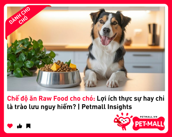 Chế độ ăn Raw Food cho chó: Lợi ích thực sự hay chỉ là trào lưu nguy hiểm? | Petmall Insights 1