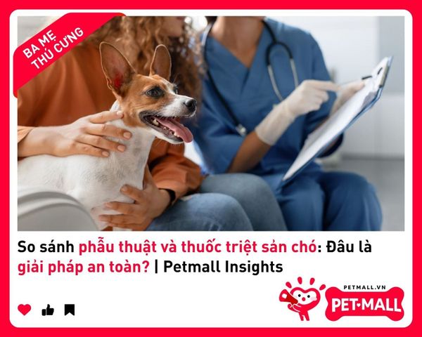 So sánh phẫu thuật và thuốc triệt sản chó: Đâu là giải pháp an toàn? | Petmall Insights 3