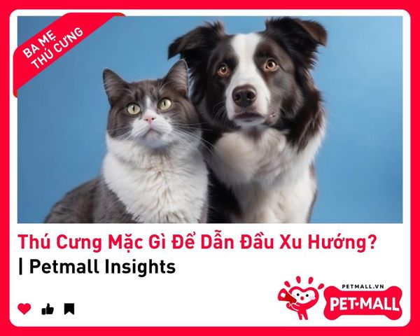 Thú Cưng Mặc Gì Để Dẫn Đầu Xu Hướng? | Petmall Insights 1