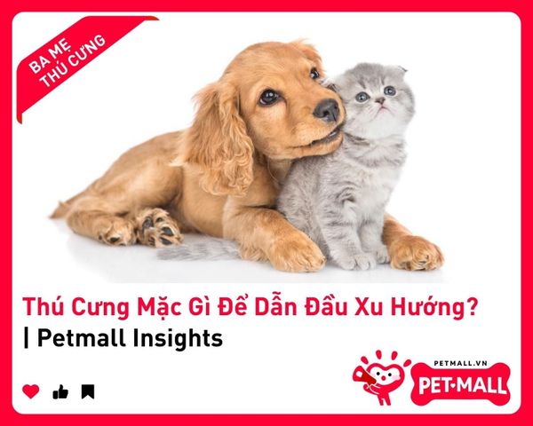 Thú Cưng Mặc Gì Để Dẫn Đầu Xu Hướng? | Petmall Insights 2