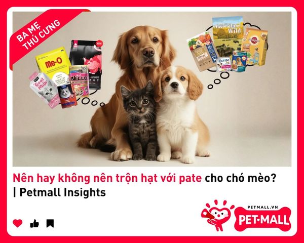 Nên hay không nên trộn hạt với pate cho chó mèo? | Petmall Insights 2
