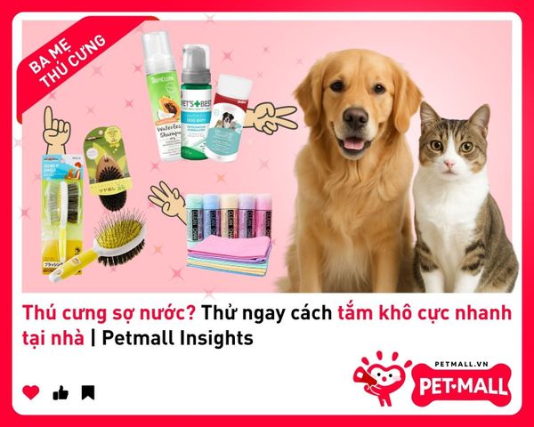 Thú cưng sợ nước? Thử ngay cách tắm khô cực nhanh tại nhà | Petmall Insights 3